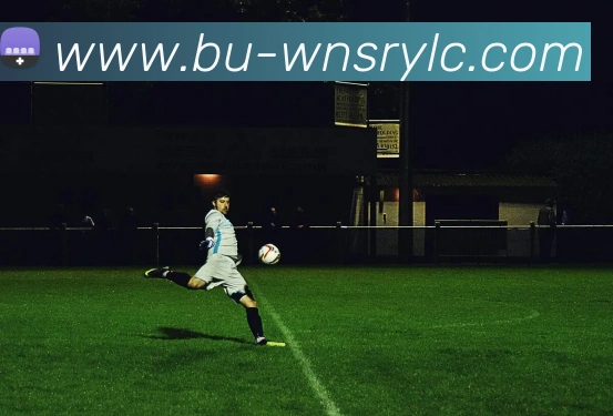 威尼斯人官网APP 高清赛事图